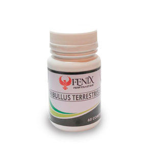 Tribullus Terretris